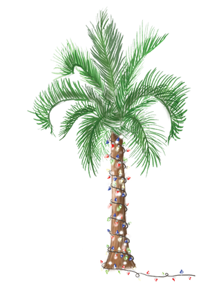 A tall palm tree with green fronds, its brown trunk wrapped in a string of colorful holiday lights, set against a plain white background.