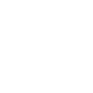 A blank image with a light gray background and the word Newsweek faintly visible in large, white, semi-transparent letters across the center.