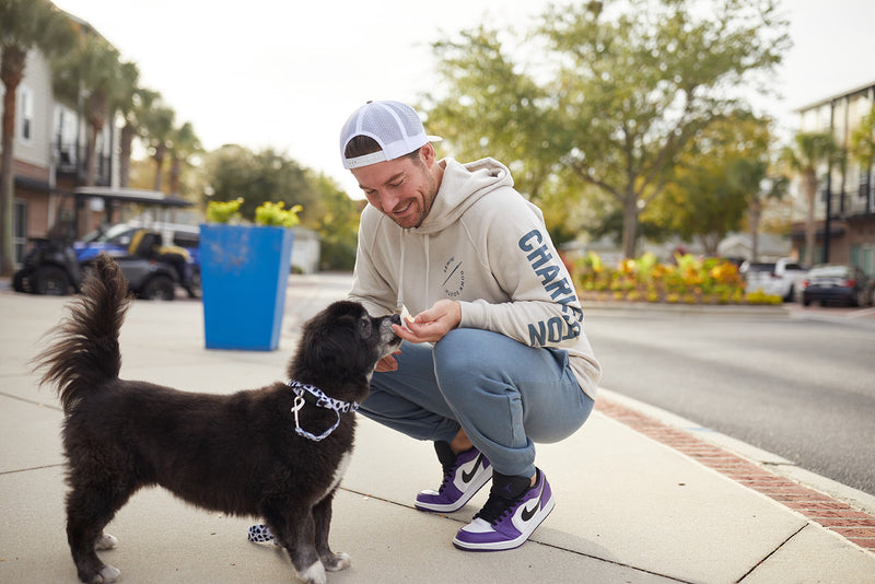 Nike shop dog collar