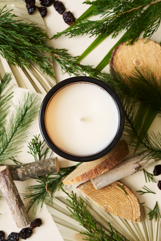 The Palmetto + Pine Signature Candle, hand-poured in Charleston and housed in a black container, is styled with pine branches, wood slices, logs, and dried berries on a light surface for a woodland pine vibe.
