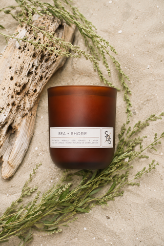 A brown Sea + Shore Limited Edition Candle sits on sand beside driftwood and green sprigs, evoking a natural, coastal scent and atmosphere. This hand-poured candle from Charleston brings the serene essence of the seaside into any space.