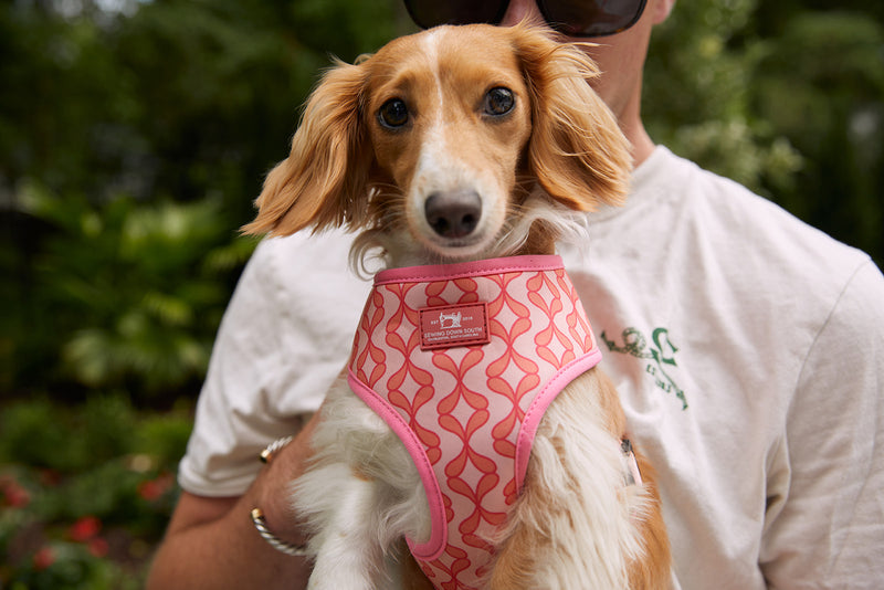 DOG BUNDLE: Pink Geometric Harness + Leash