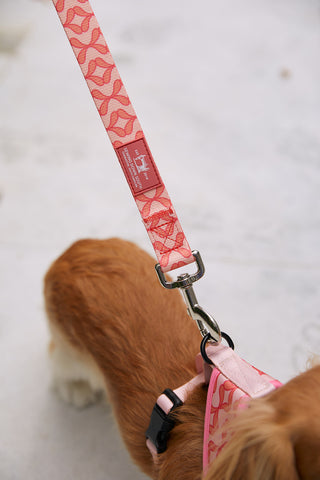 A view from above captures a brown dog in a pink geometric harness, attached to a matching leash with a Sewing Down South pattern and metal clasp. The pet harness is adjustable, set against a light, neutral surface.