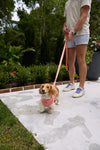 DOG BUNDLE: Pink Geometric Harness + Leash