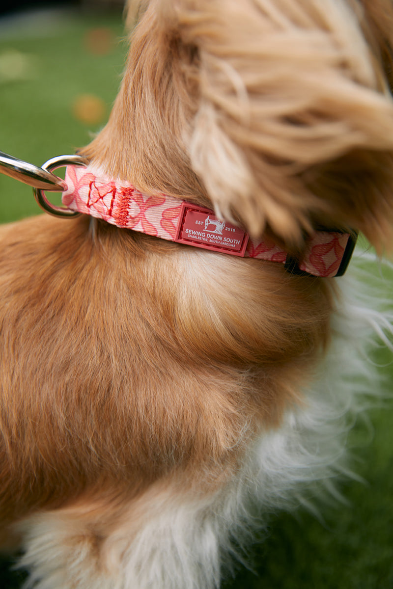 DOG BUNDLE: Pink Geometric Leash + Collar