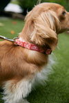 Pink Geometric Dog Collar (S, M or L)