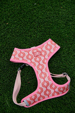 DOG BUNDLE: Pink Geometric Harness + Leash