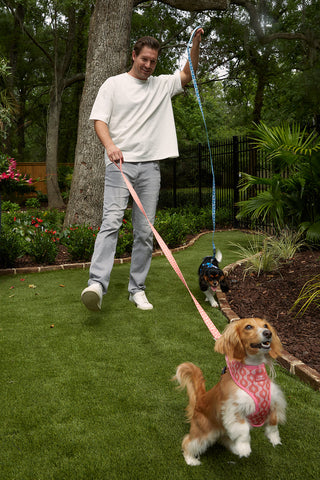 A person in a gray T-shirt and pants walks two leashed dogs, enjoying the garden. One dog flaunts a Pink Geometric Dog Harness (available in S, M, or L) with floppy ears, while the other sports an adjustable blue harness. Trees and plants flourish around them, completing this serene scene.