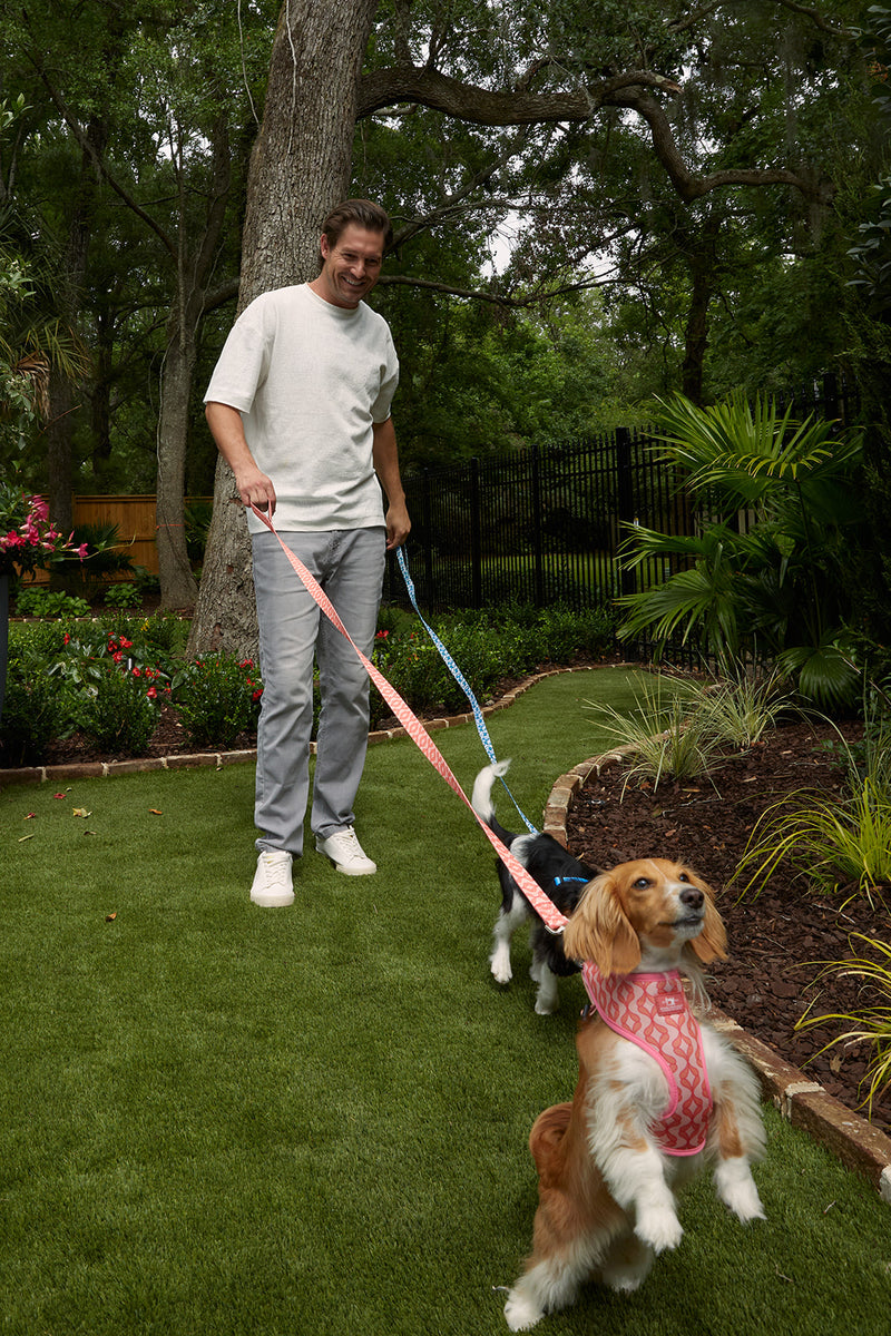 DOG BUNDLE: Pink Geometric Harness + Leash