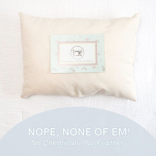 The Toddler Sleeping Bundle: Organic Pillow + Blue Rainbows Case features a label with a logo and decorative border. NOPE, NONE OF EM! No Chemicals, No Feathers is inscribed on a light background. Made from GOTS certified organic cotton, its designed to be hypoallergenic and emphasizes natural materials.